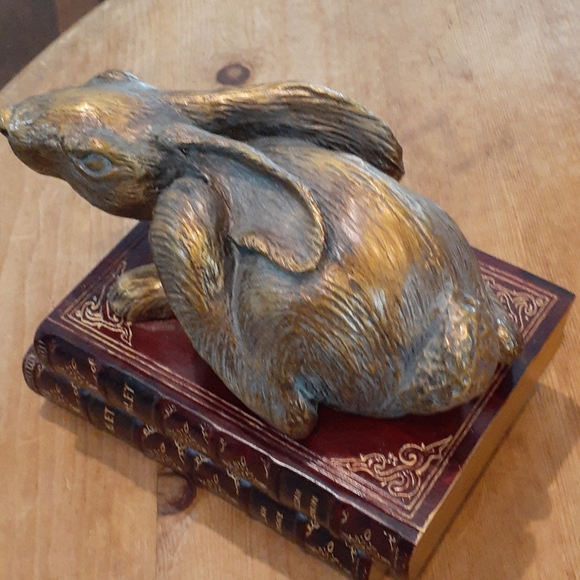 Rabbit sitting on Two Books - Picture 4 of 5